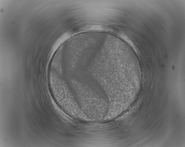 X0000062631475200601181707