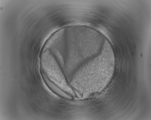 X0000062631476200601181707