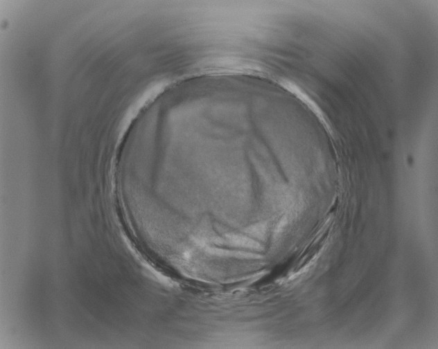 X0000062631477200601181707