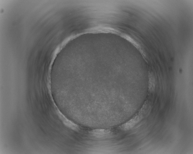 X0000062631478200601181707