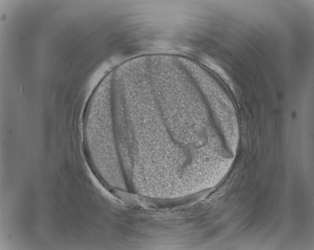 X0000062631479200601181707