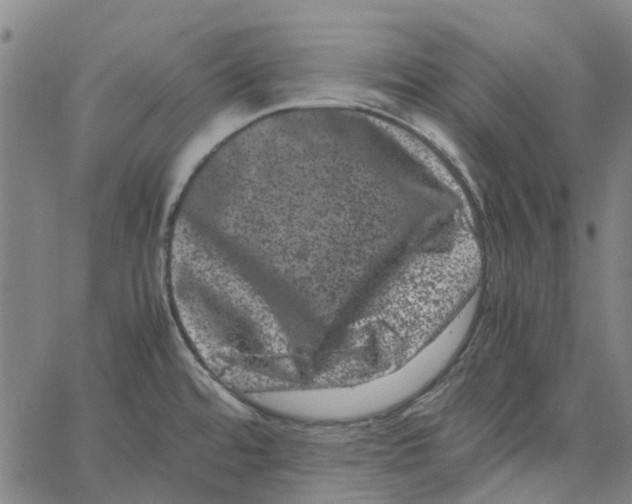 X0000062631480200601181707