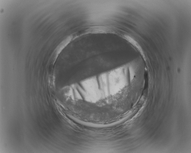 X0000062631481200601181707