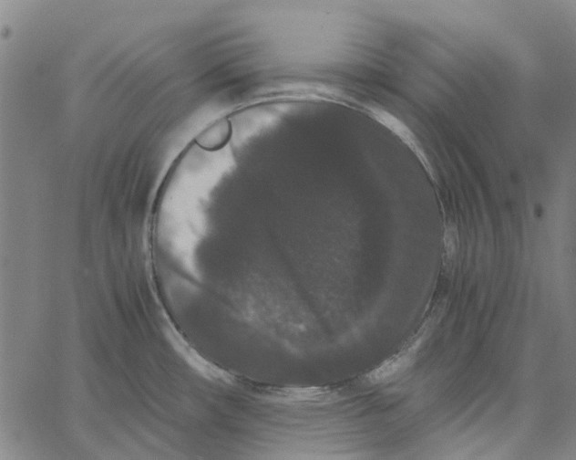 X0000062631482200601181707