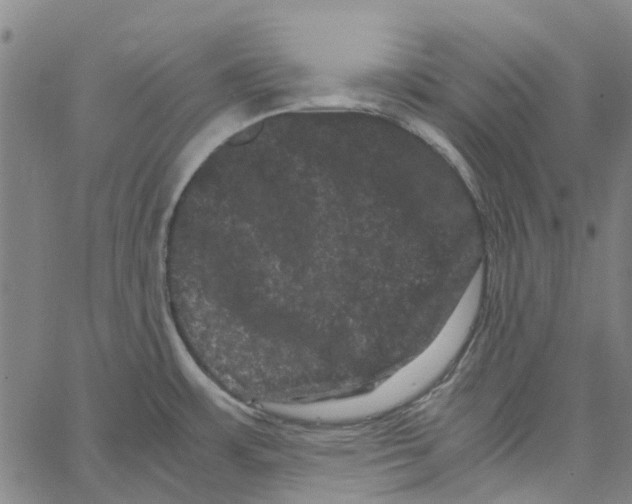 X0000062631483200601181707