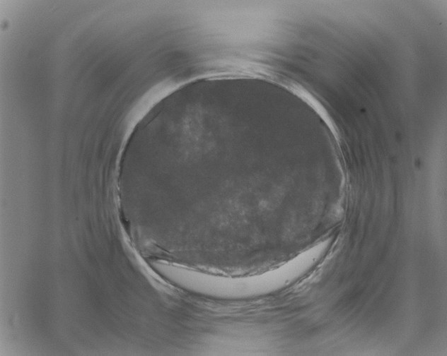 X0000062631485200601181707