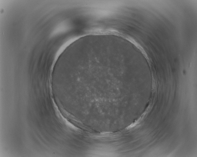 X0000062631486200601181707