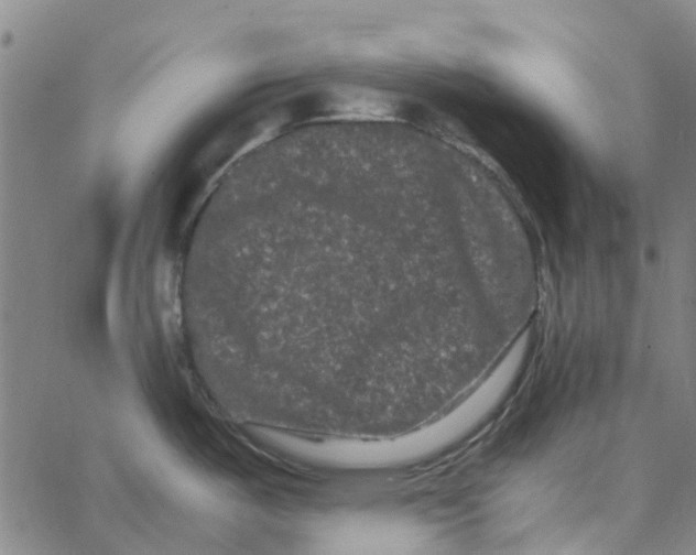 X0000062631487200601181707