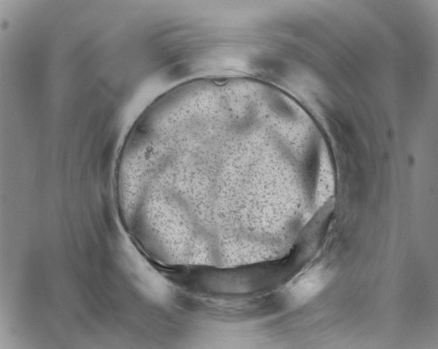 X0000062631488200601181707