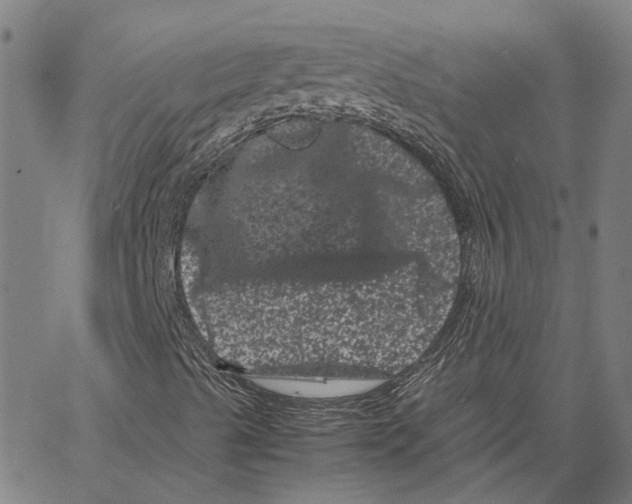 X0000062631489200601181706