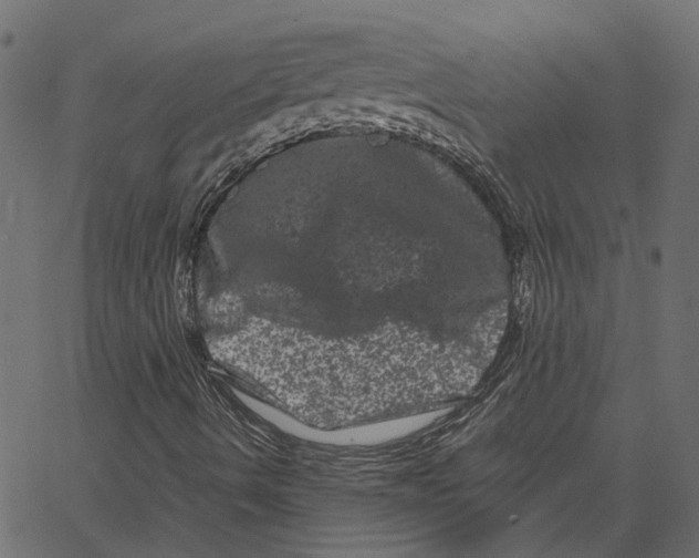 X0000062631490200601181706