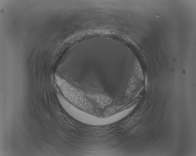 X0000062631492200601181706