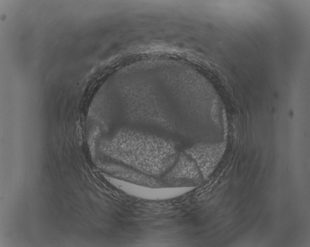 X0000062631493200601181706