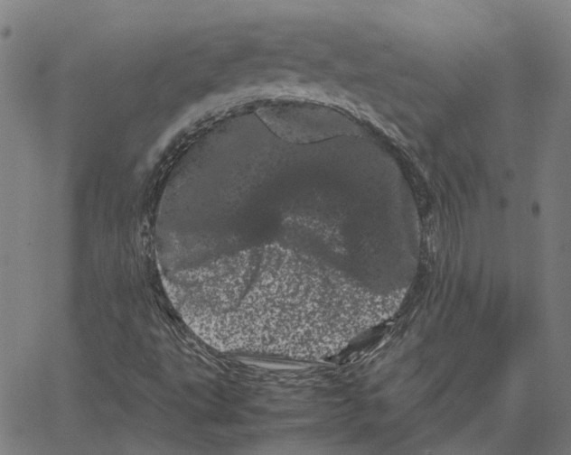 X0000062631495200601181706