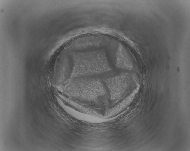 X0000062631496200601181706