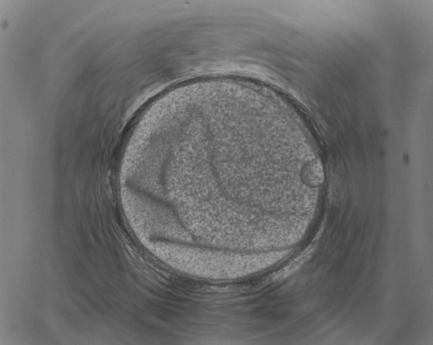 X0000062631497200601181706