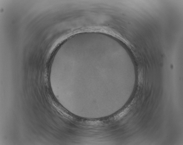 X0000062631498200601181706