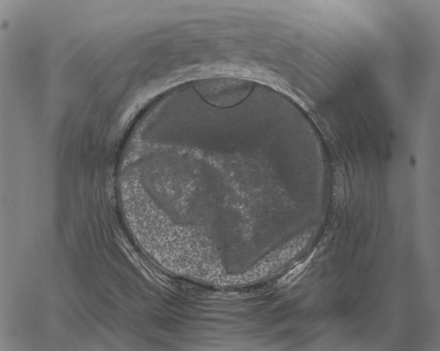 X0000062631499200601181706