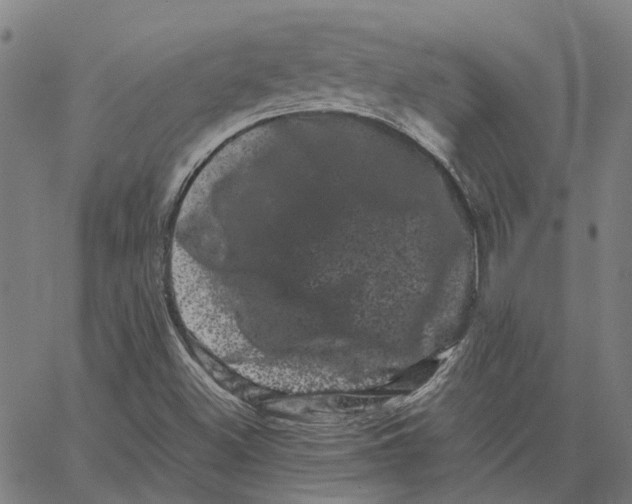 X0000062631500200601181706