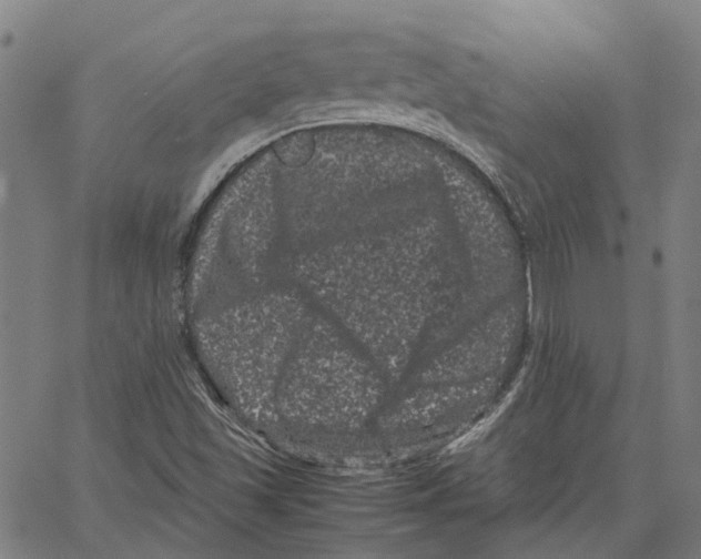 X0000062631501200601181706