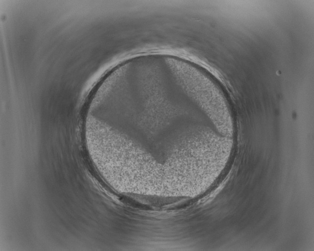 X0000062631502200601181706