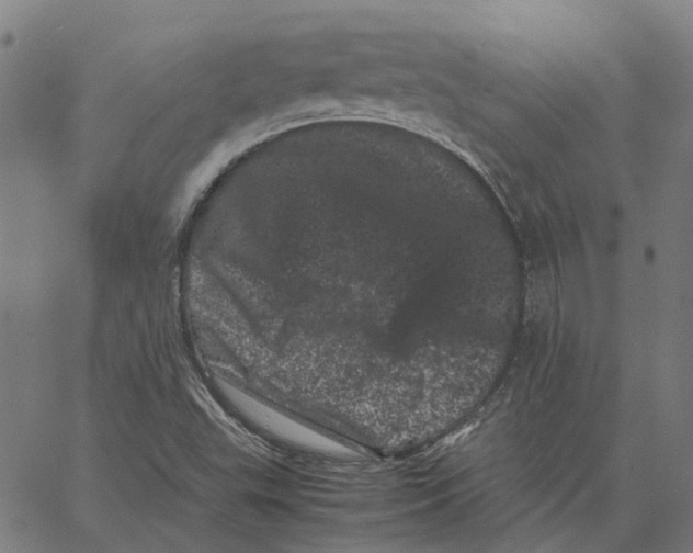 X0000062631503200601181706