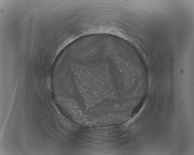 X0000062631505200601181706