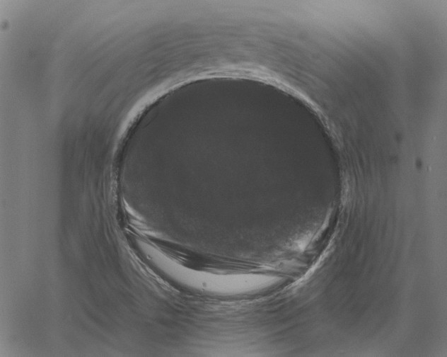 X0000062631506200601181706