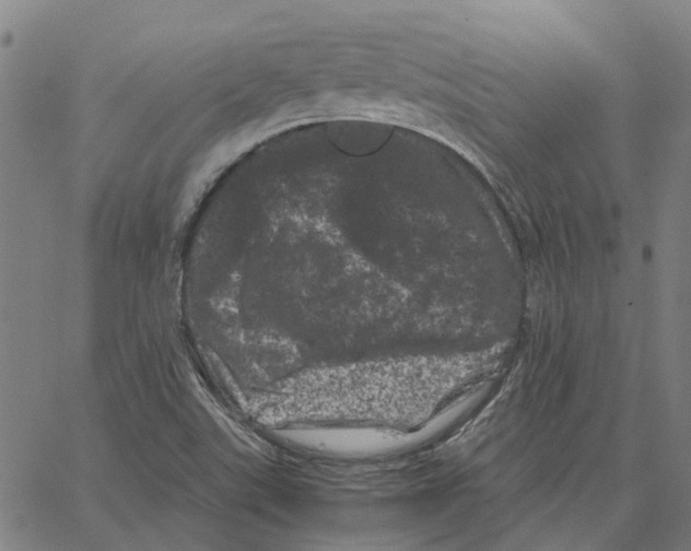 X0000062631507200601181707