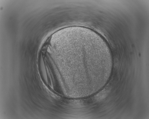 X0000062631508200601181707