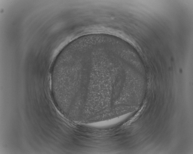 X0000062631509200601181707