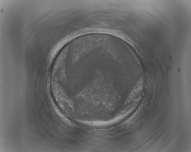 X0000062631511200601181707