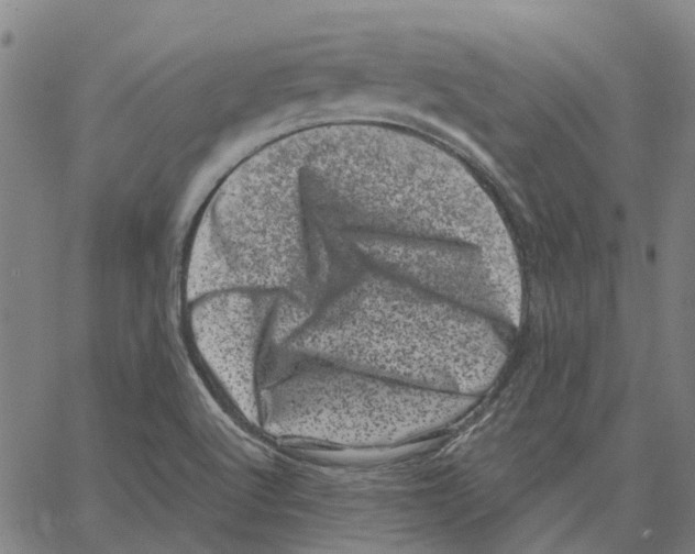 X0000062631512200601181707