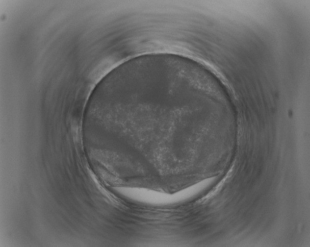 X0000062631513200601181707