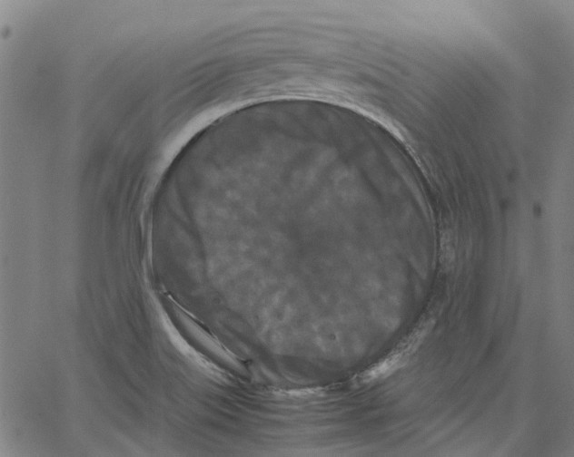 X0000062631515200601181707