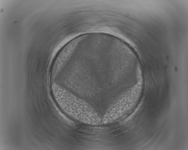 X0000062631517200601181707