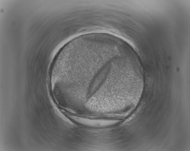 X0000062631518200601181707