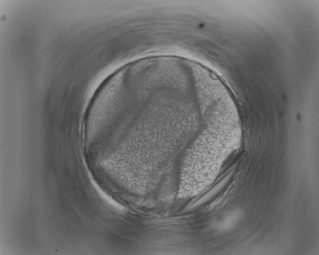 X0000062631519200601181707