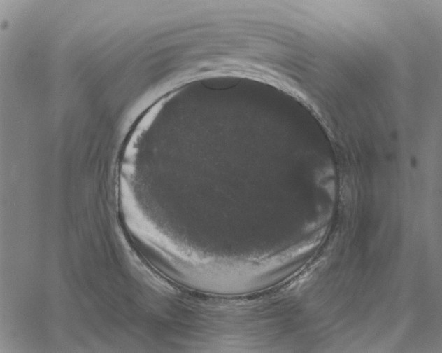 X0000062631522200601181707