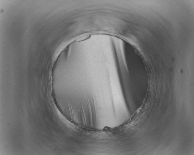 X0000062631524200601181707