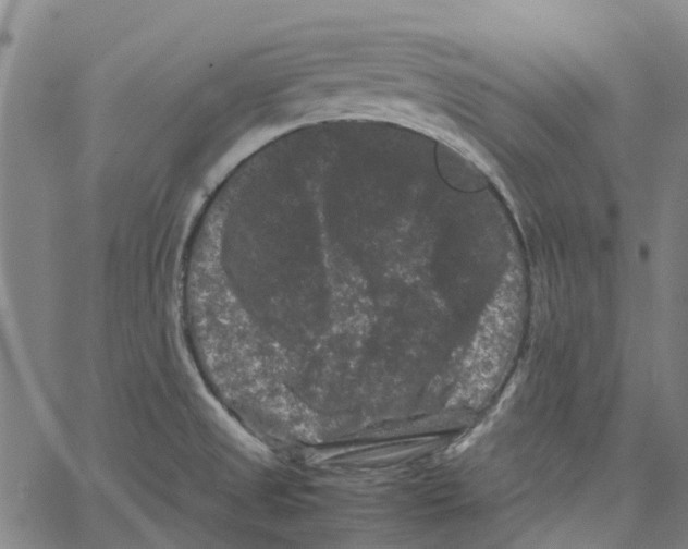 X0000062631525200601181707