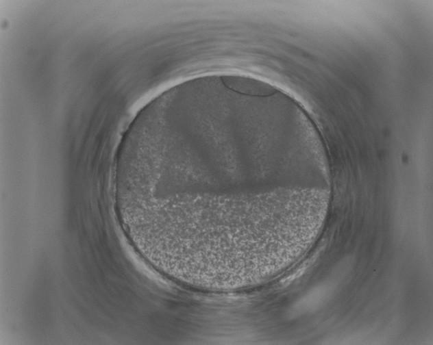 X0000062631526200601181707