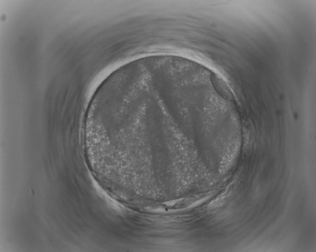 X0000062631527200601181707