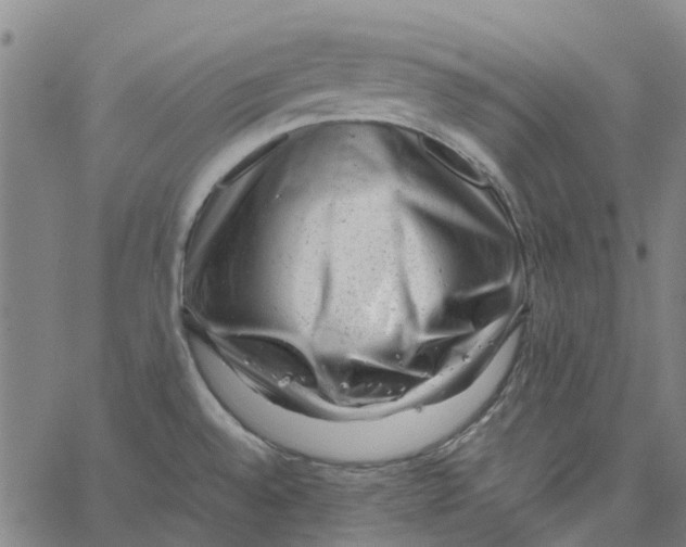 X0000062631528200601181707