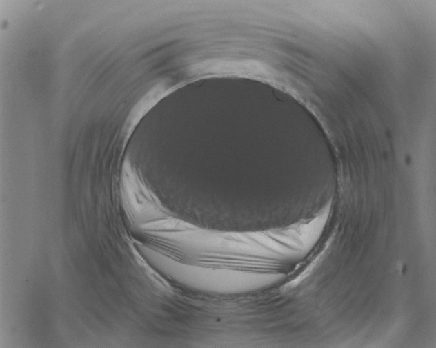 X0000062631529200601181707