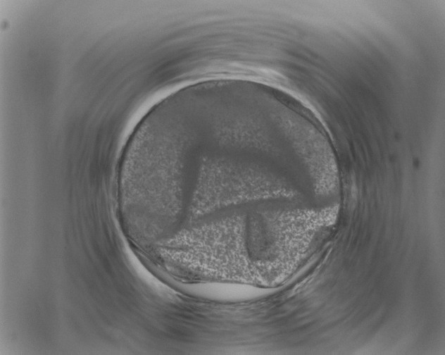 X0000062631531200601181707