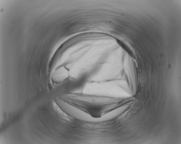 X0000062631532200601181707