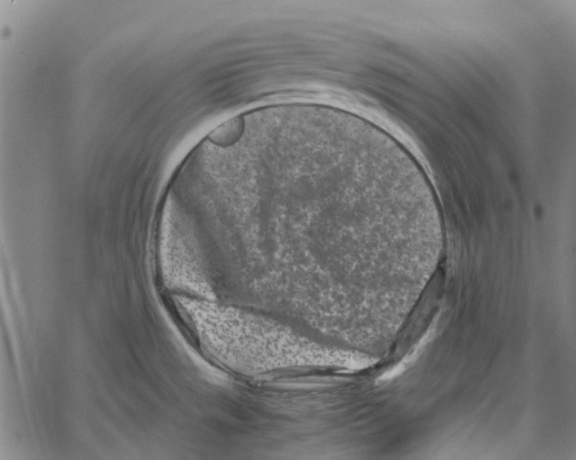 X0000062631533200601181707