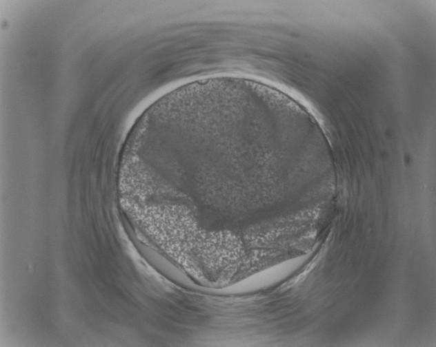 X0000062631534200601181707