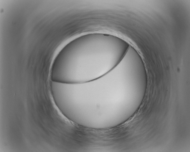 X0000062631536200601181707